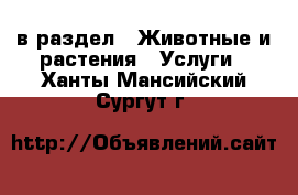  в раздел : Животные и растения » Услуги . Ханты-Мансийский,Сургут г.